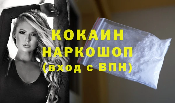 стаф Алзамай