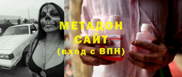 стаф Алзамай