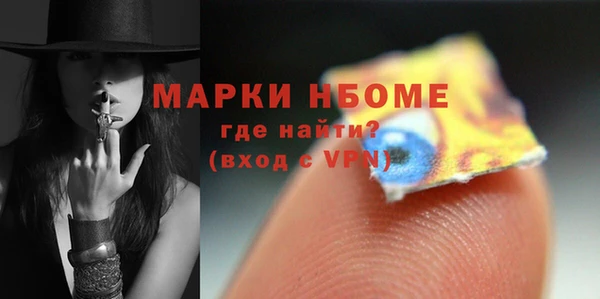 стаф Алзамай