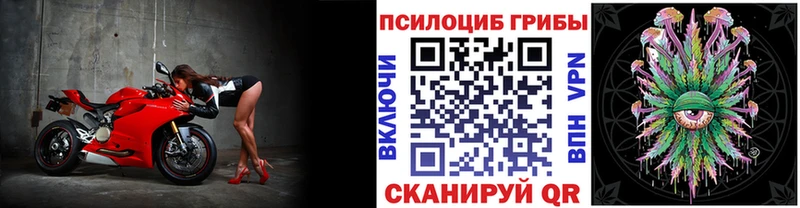 Галлюциногенные грибы ЛСД  Черноголовка 